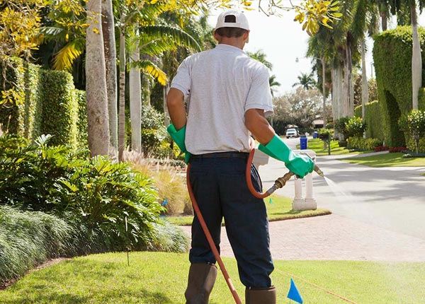 About Garland TX Pest Control Pros